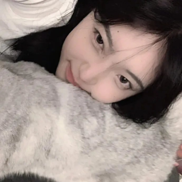 兔子镇的火狐狸在线观看